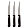 PRADEL - LOT 3 COUTEAUX STEAK 12 CM MANCHES POLYPROPYLENE VRAC