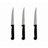 PRADEL - LOT 3 COUTEAUX STEAK 11 CM MANCHES POLYPROPYLENE VRAC
