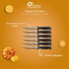ESSENTIELS - SET 6 COUTEAUX A STEAK BOITE COULEUR ESSENTIELS - SET 6 COUTEAUX A STEAK BOITE COULEUR