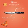 MAITRE CHEF - COUTEAU STEAK 12.5 CM SUR CARTE MAITRE CHEF - COUTEAU STEAK 12.5 CM SUR CARTE
