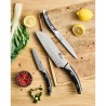 HERITAGE - COUTEAU A TRANCHER 9.5 CM SUR CARTE HERITAGE - COUTEAU A TRANCHER 9.5 CM SUR CARTE