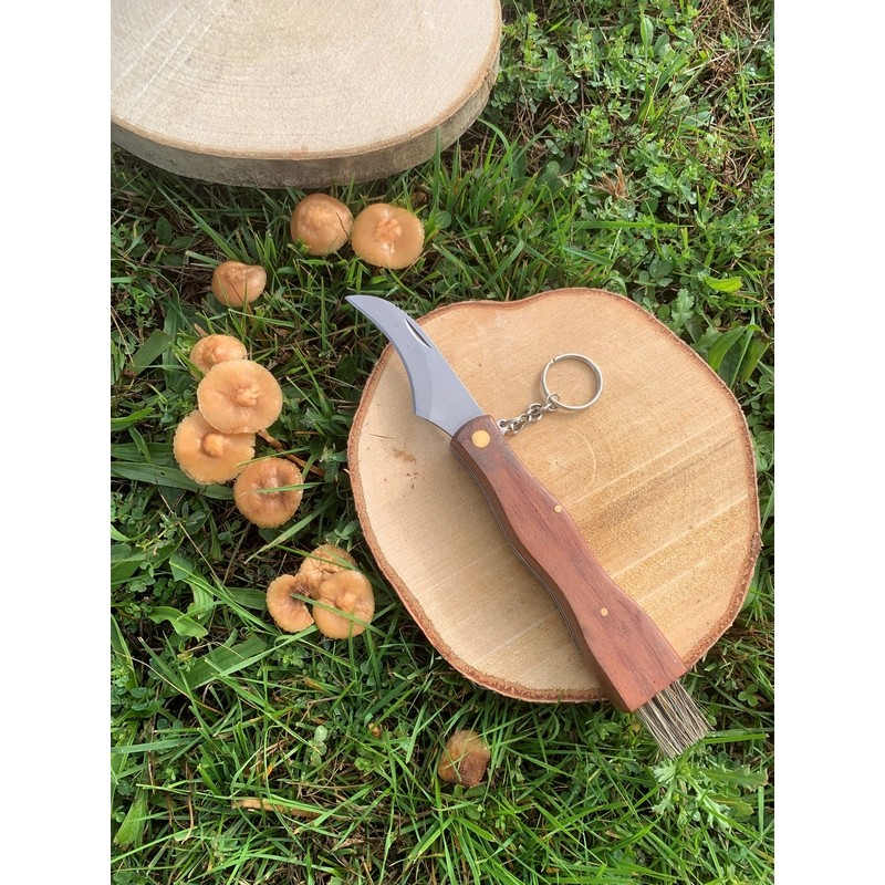 EVASION - COUTEAU A CHAMPIGNONS 7 CM AVEC BROSSE SUR CARTE EVASION - COUTEAU A CHAMPIGNONS 7 CM AVEC BROSSE SUR CARTE