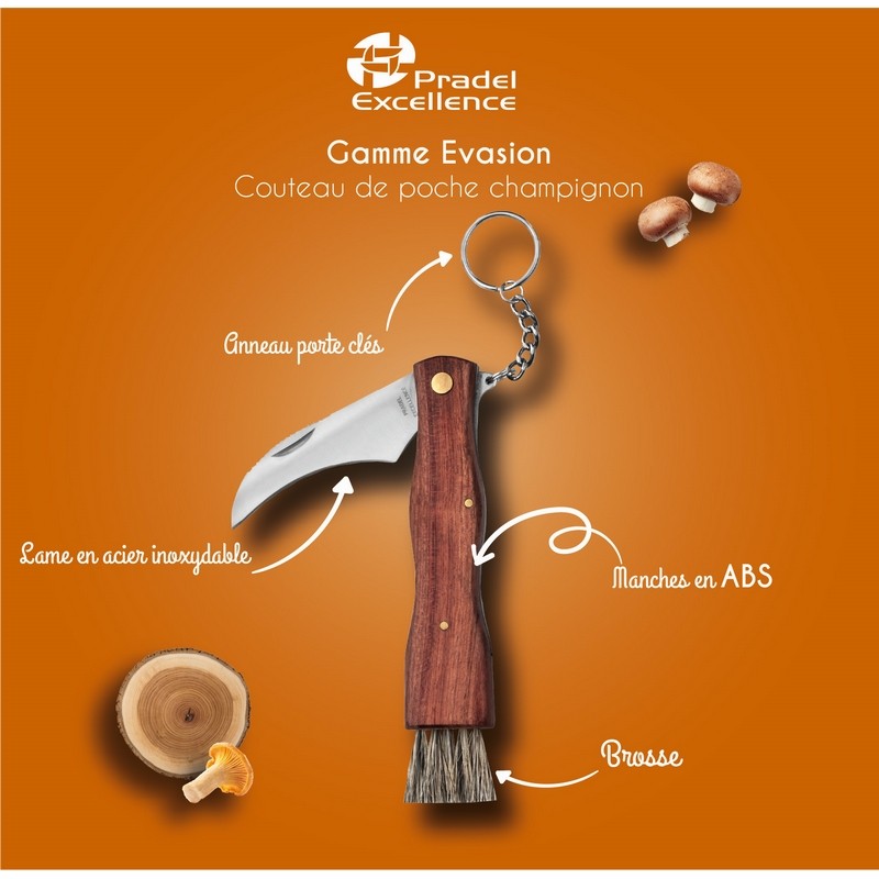 EVASION - COUTEAU A CHAMPIGNONS 7 CM AVEC BROSSE SUR CARTE EVASION - COUTEAU A CHAMPIGNONS 7 CM AVEC BROSSE SUR CARTE