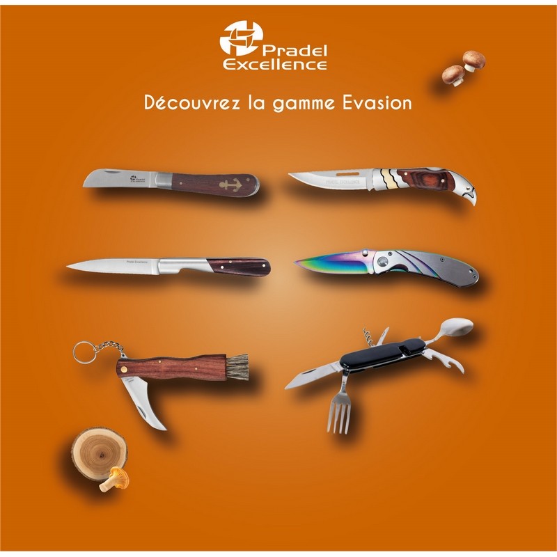 EVASION - COUTEAU A CHAMPIGNONS 7 CM AVEC BROSSE SUR CARTE EVASION - COUTEAU A CHAMPIGNONS 7 CM AVEC BROSSE SUR CARTE