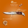 EVASION - COUTEAU DE POCHE AIGLE 7.5 CM SUR CARTE EVASION - COUTEAU DE POCHE AIGLE 7.5 CM SUR CARTE