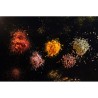 40X30 CM - EPICES - PLANCHE VERRE TREMPE BOITE COULEUR