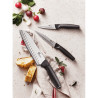 SET 3 COUTEAUX DE CUISINE