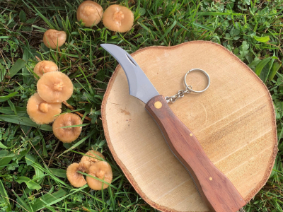 Champignons à la poêle : comment les préparer et les cuisiner de saison