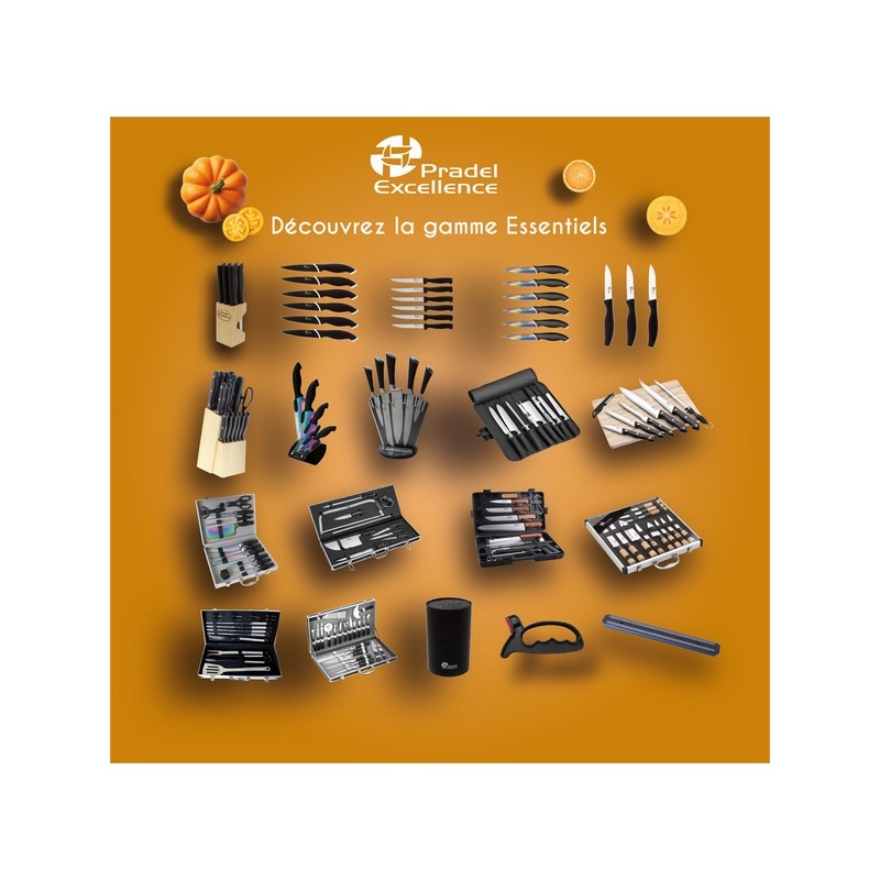 ESSENTIELS - SET 2 COUTEAUX OFFICE 9 CM + 1 BEC D'OISEAU 8 CM + 1 EPLUCHEUR MANCHES BOIS SUR CARTE