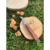 EVASION - COUTEAU A CHAMPIGNONS 7 CM AVEC BROSSE SUR CARTE EVASION - COUTEAU A CHAMPIGNONS 7 CM AVEC BROSSE SUR CARTE