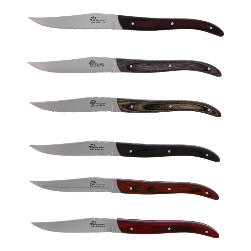 LES BOISES - SET 6 COUTEAUX DE TABLE MANCHES BOIS COFFRET COULEUR
