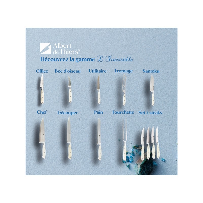 L'IRRESISTIBLE - SET DE 4 COUTEAUX STEAK BOITE COULEUR